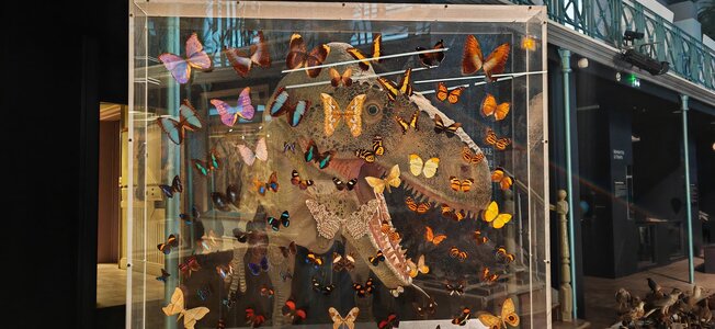 Stages,cours Moulins / Atelier  Crée portrait dino ! 