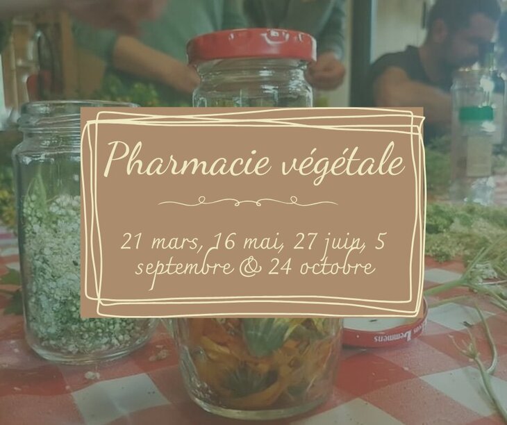 Stages,cours Formation - pharmacie végétale