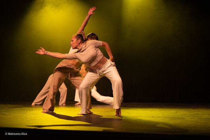 Spectacles Vibr & Danse Braine-l Alleud - Deuxième édition