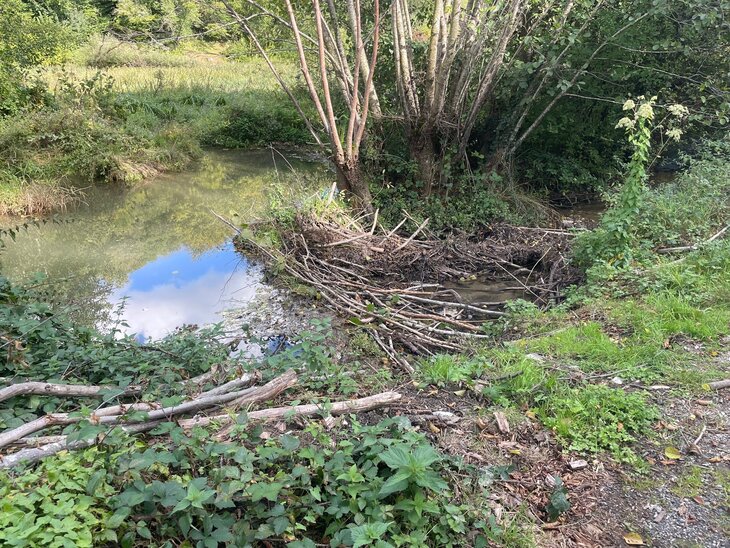 Loisirs Quand Chinelle chuchote vivant