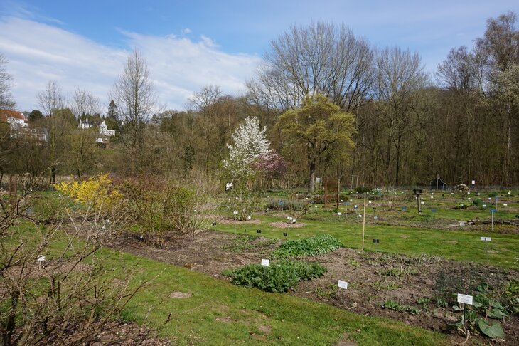Loisirs Visite guidée  Découvertes collections botaniques 