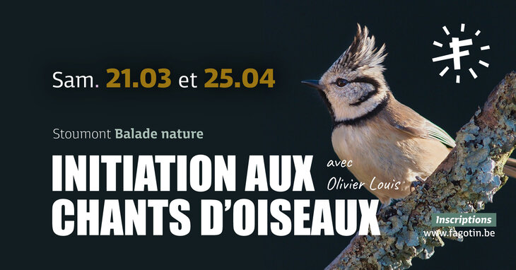 Loisirs Initiation chants d oiseaux