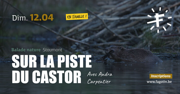 Loisirs Sur piste castor