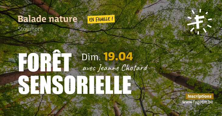 Loisirs Forêt sensorielle