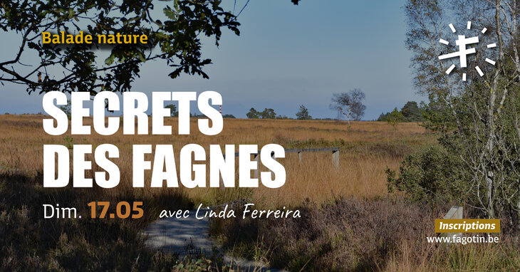Loisirs Secrets Fagnes