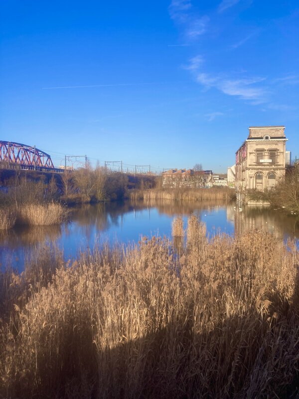 Loisirs Visites guidées Marais Wiels l occasion d une marche Adeps