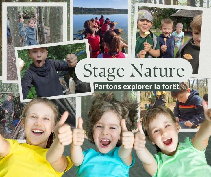 Stages,cours Stage nature  Partons explorer forêt 