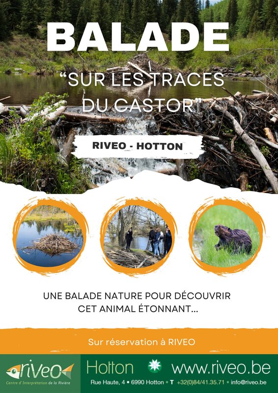 Loisirs Balade nature Sur traces castor – Activité famille