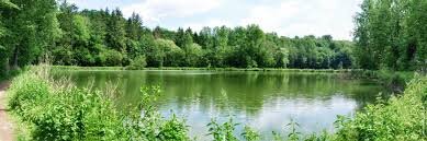 Loisirs Saint-denis, merveilleux écrin nature découvrir février