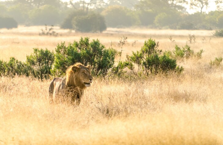 Expositions Co-exposition : Marthe Sart Isabelle Defourny