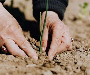 Stages,cours Atelier QUBS Qualité biologique sols