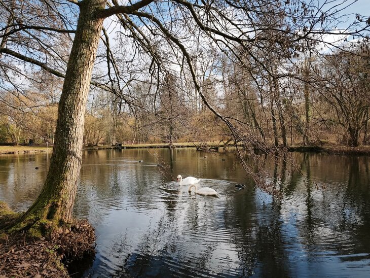 Loisirs Randonnée Woluwe Uccle