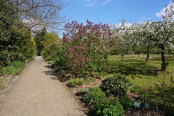 Loisirs Visite guidée  Découvert collections botaniques 