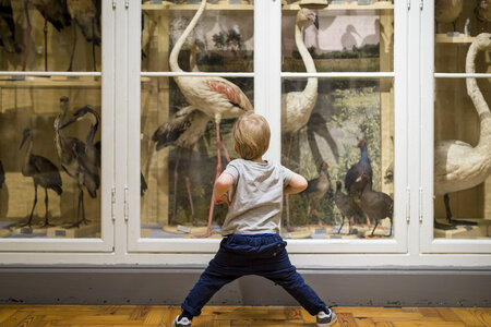 Stages,cours Création poésie hauteur tout-petits / Atelier participatif autour tapis senso