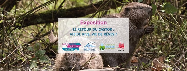 Conférences Le retour Castor : de rive, de rêve ?