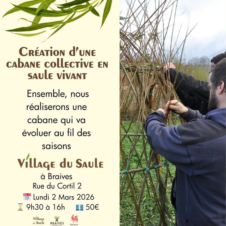 Stages,cours Création d une Cabane collective saule vivant