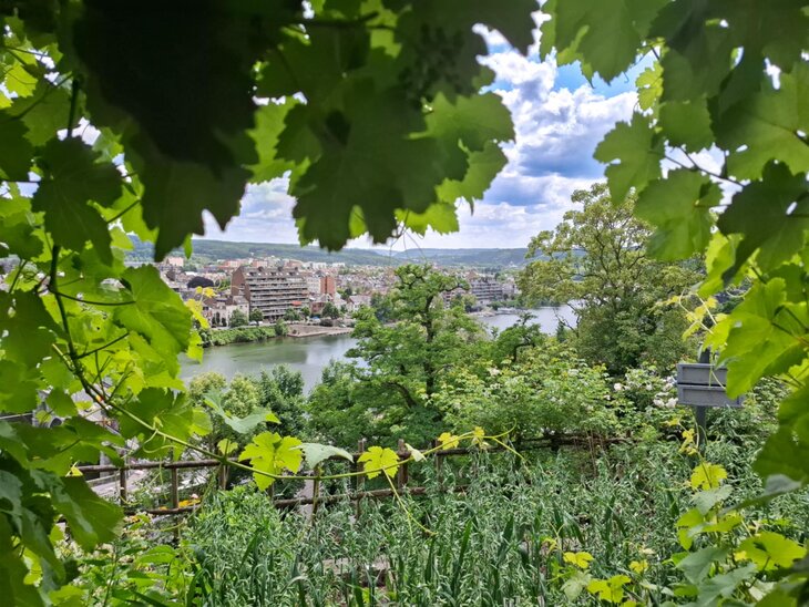 Loisirs Balade thématique  Légendes fake news, vrai faux 