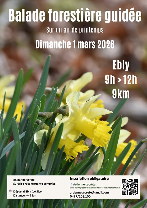 Loisirs Balade forestière guidée