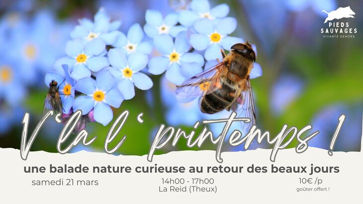Loisirs V la l printemps | balade nature guidée