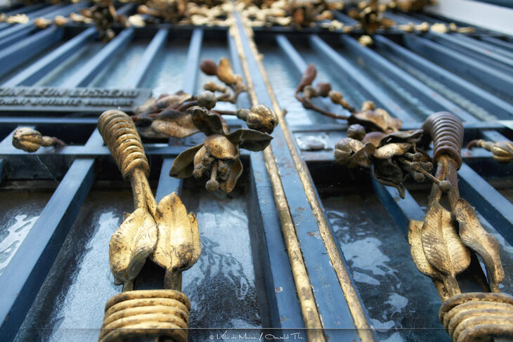 Loisirs Visite guidée : L art végétal dans l architecture