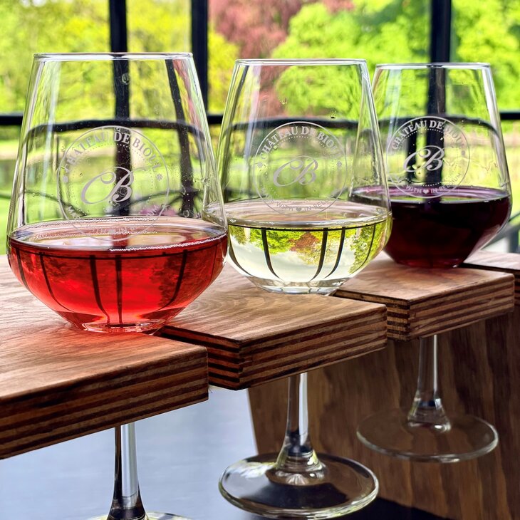 Loisirs Journée découverte Vignoble Château Bioul