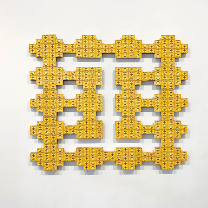 Expositions Shapes, Minou Delcamposanto