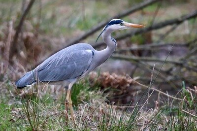 Spectacles Journées Wallonnes l Eau 2026 - Projection film
