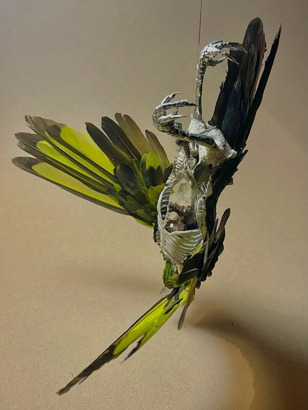 Expositions Exposition collectif Solos