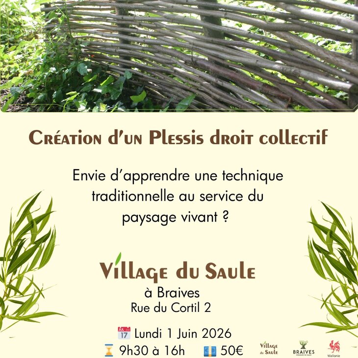 Stages,cours Architecture végétale Plessis droit (chantier collectif)