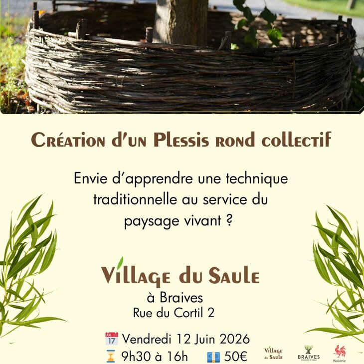 Stages,cours Architecture végétale Plessis rond autour d’un arbre (chantier collectif)