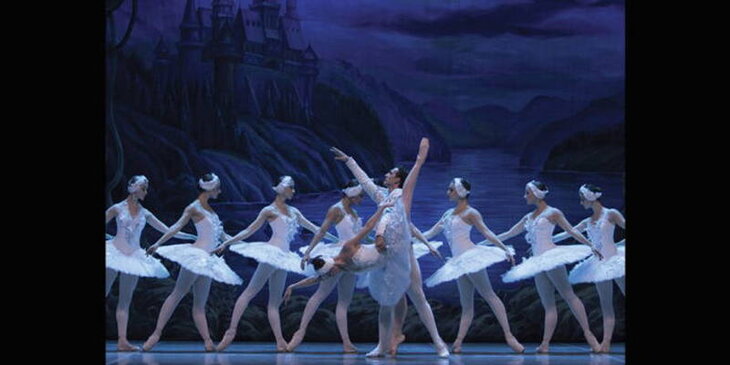 Spectacles Le des Cygnes