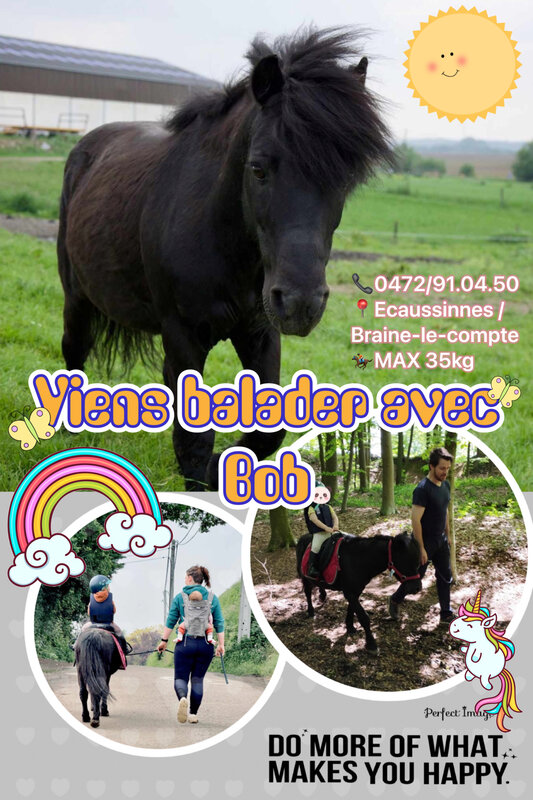 Loisirs Balade poney