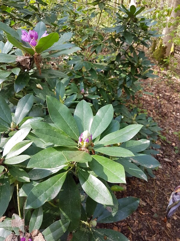 Loisirs Promenade nature patrimoine 
