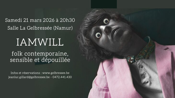 Concerts Concert d’IAMWILL (Guillaume Vierset)