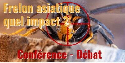 Conférences Conférence-débat : Frelon asiatique quel impact ?