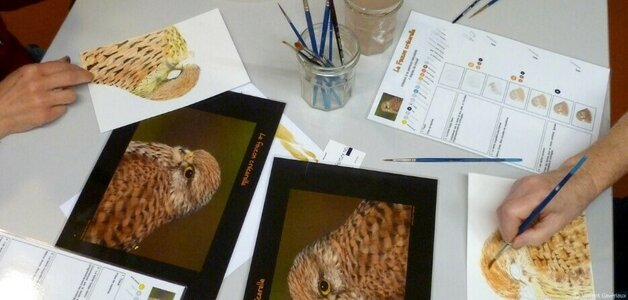 Stages,cours Atelier Peinture - Mini-Lab / MHN fait Mur