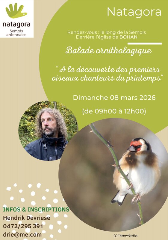 Loisirs Balade ornithologique
