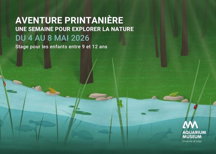 Stages,cours Aventure printanière - semaine pour explorer nature