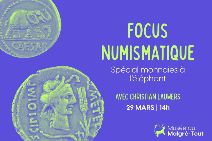 Loisirs Focus Numismatique - Spécial monnaies l éléphant | Musée Malgré-Tout