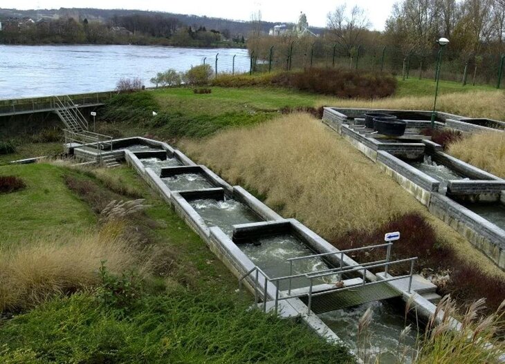 Loisirs Visite Exceptionnelle l’échelle poisson barrage Lixhe