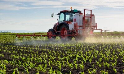 Soirées Souper dîner printemps
