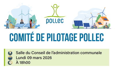 Conférences Comité pilotage Pollec
