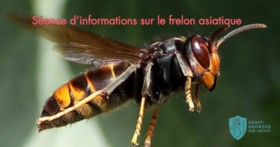 Conférences Conférence Lutte contre frelon asiatique distribution pièges