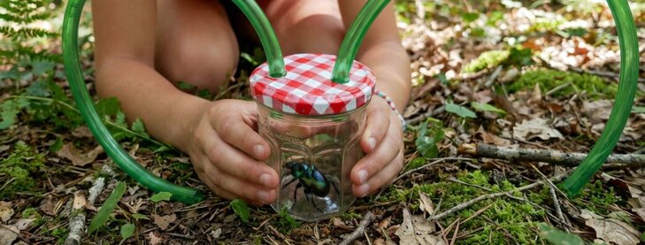 Stages,cours Les Mercredis la débrouille Aspirateur insectes