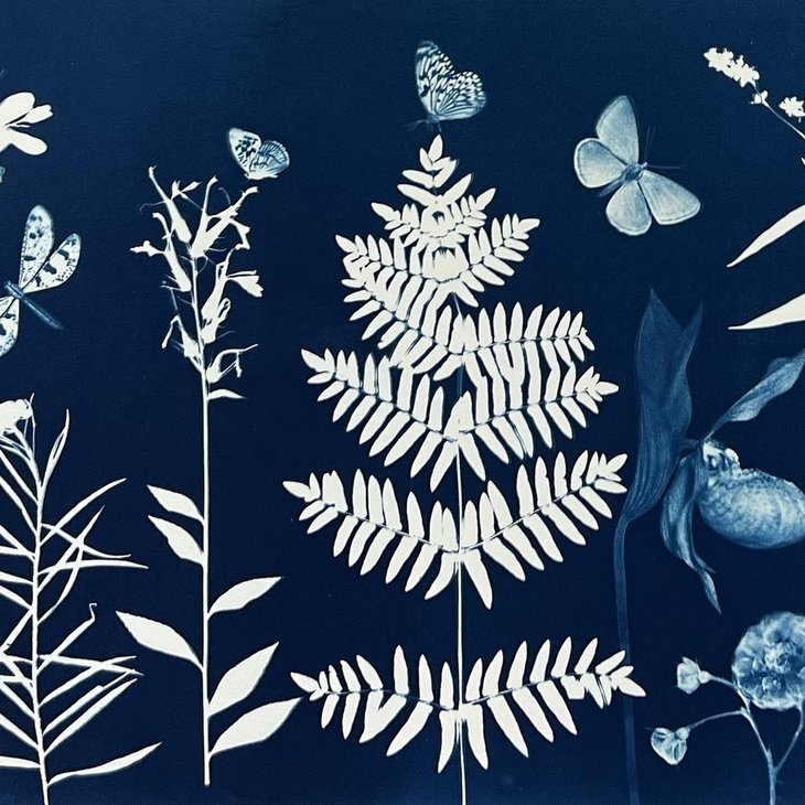 Stages,cours Mercredis  Nature créative  Visages d’écorce