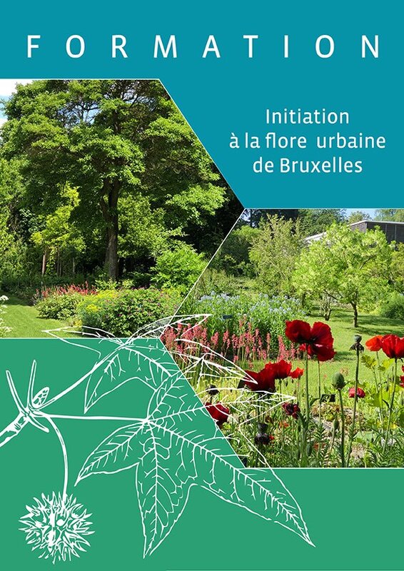 Stages,cours Formation « Initiation la flore urbaine Bruxelles »