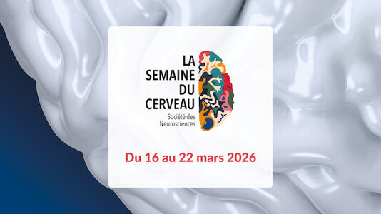 Conférences La semaine cerveau