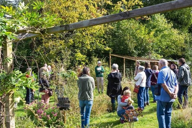 Stages,cours Formation-atelier  Commencer potager naturel facile d entretien 