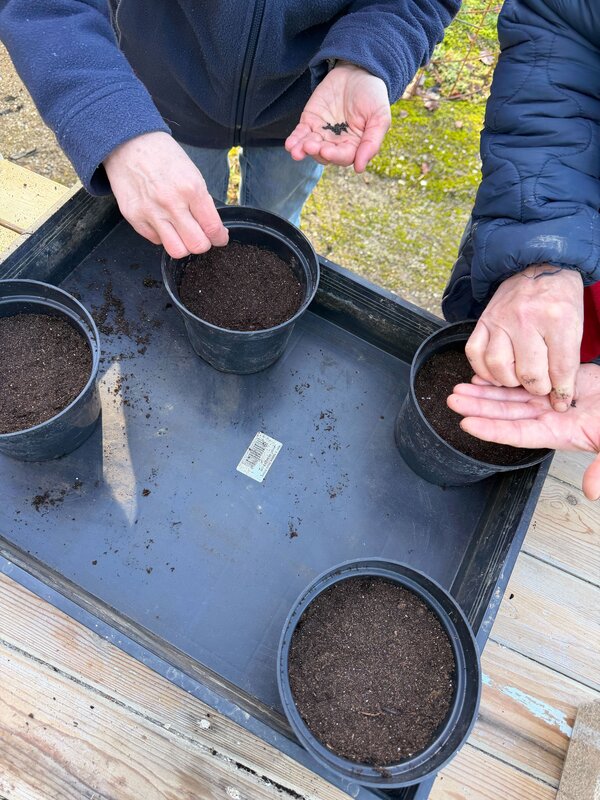 Stages,cours Ateliers mensuels  Que fait-on potager mois?  + visite