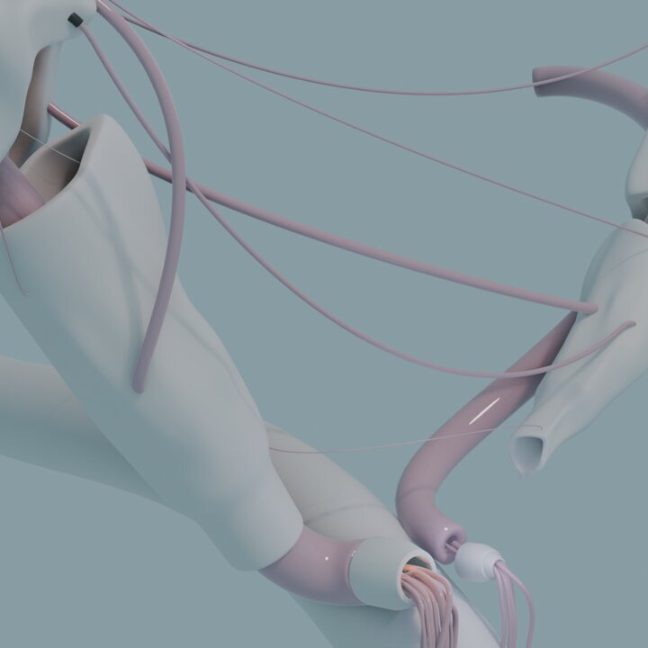 Stages,cours Stage | Polymorphe, création numérique